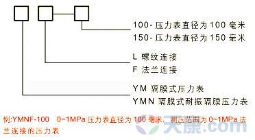 隔膜耐振压力表规格示意